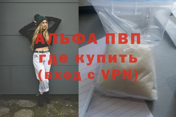 индика Артём