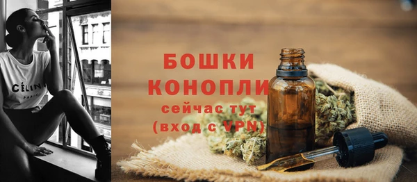 Альфа ПВП Бугульма