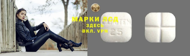 apvp Лиски