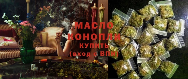 индика Артём
