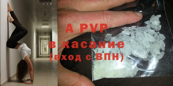 стафф Бронницы