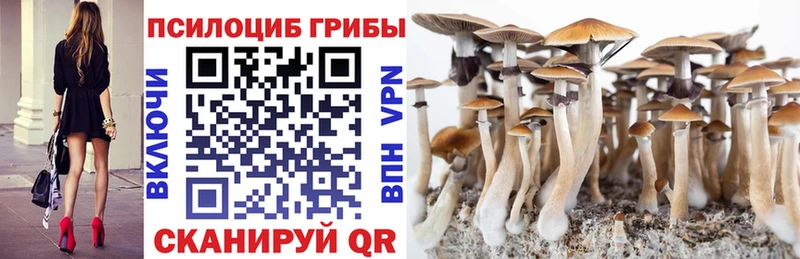 Псилоцибиновые грибы Psilocybine cubensis Верхоянск